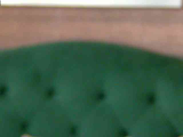 StepsisCeline