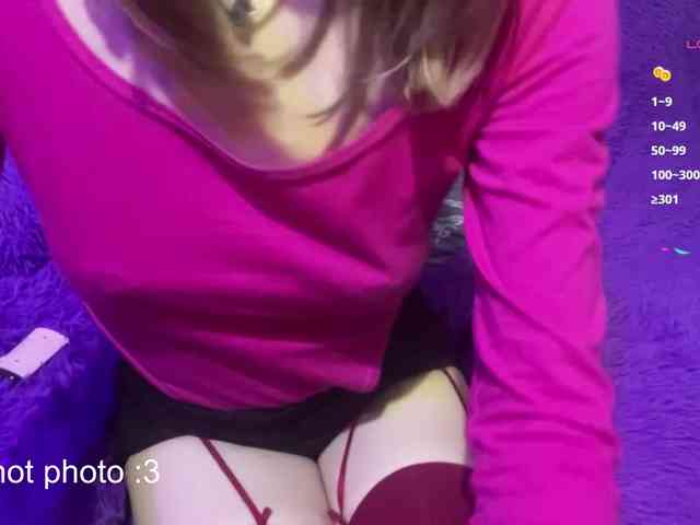 Evamiau webcam