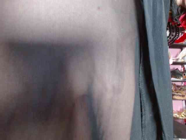 SALAMANDRA-FRANCO webcam