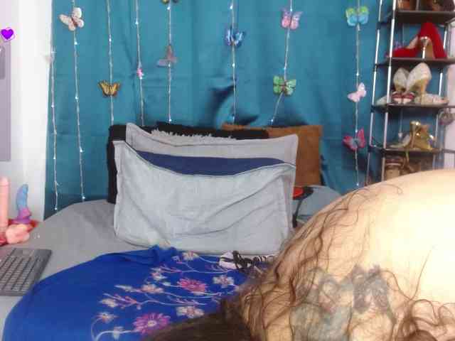 SALAMANDRA-FRANCO webcam