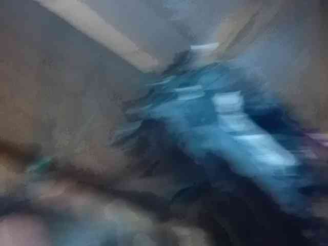 Lublis