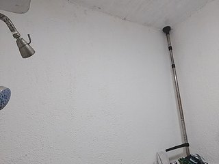 MHYCA Porn Show