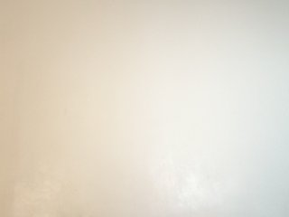 MHYCA Porn Show