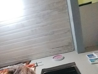 MHYCA Porn Show