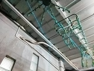 MHYCA Porn Show