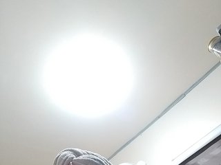 MHYCA Porn Show