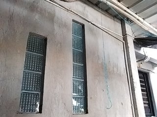 MHYCA Porn Show
