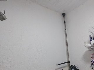 MHYCA Porn Show