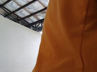 MHYCA Porn Show