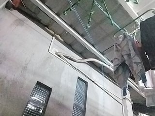 MHYCA