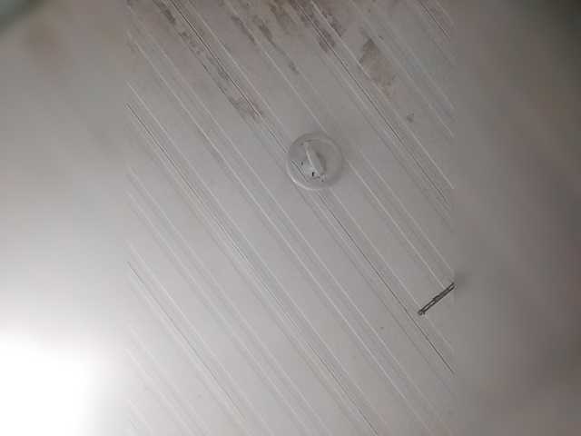 MHYCA live cam preview