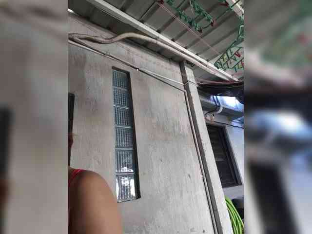 MHYCA webcam