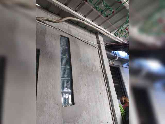 MHYCA webcam