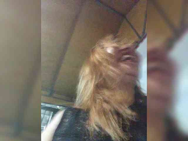 MHYCA webcam