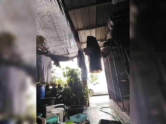 MHYCA webcam