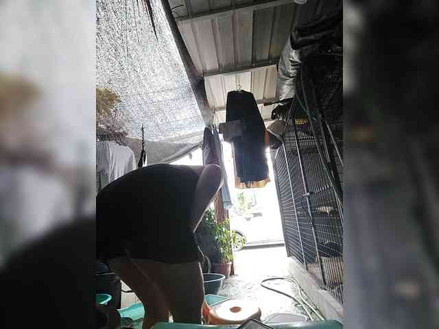 MHYCA webcam
