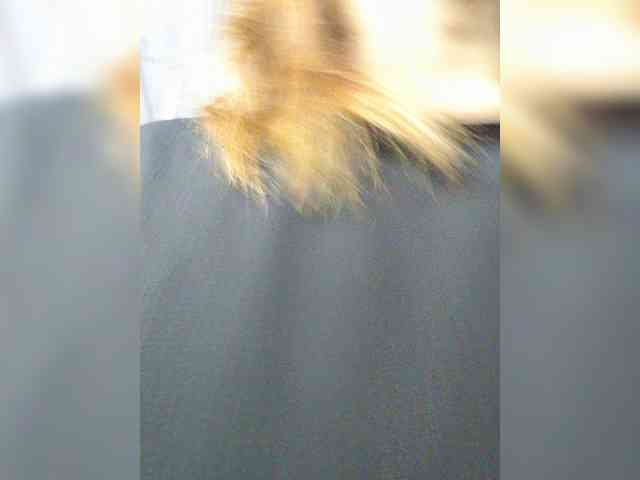 MHYCA webcam