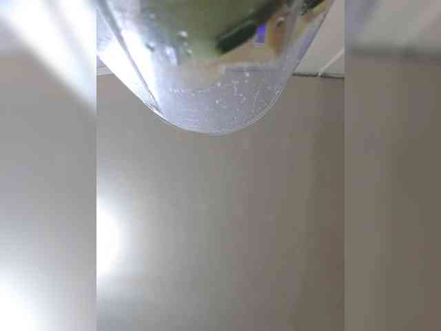 MHYCA webcam