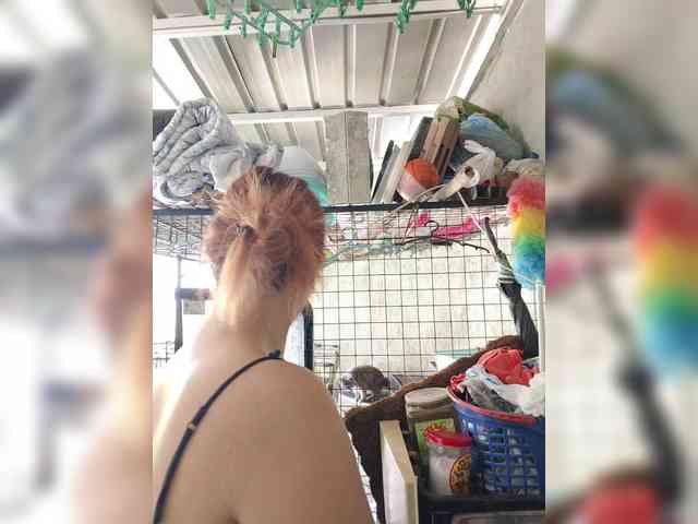 MHYCA webcam