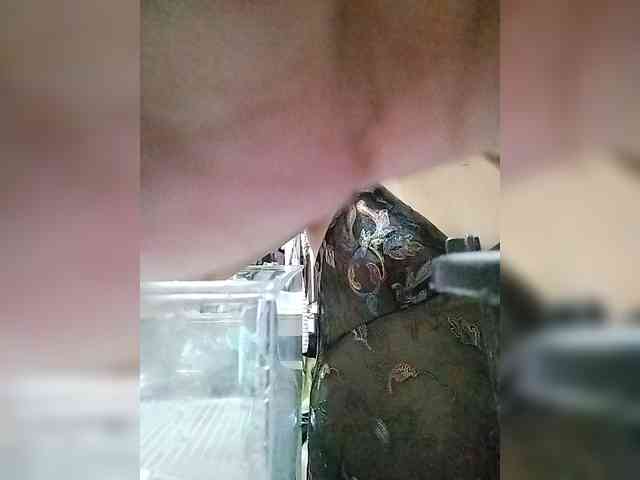 MHYCA webcam