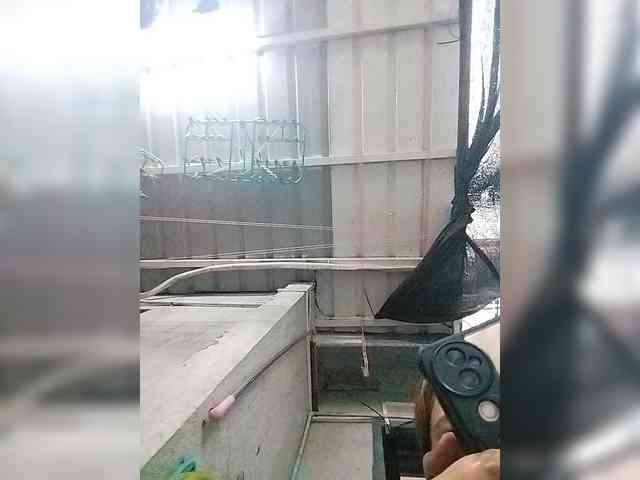 MHYCA webcam