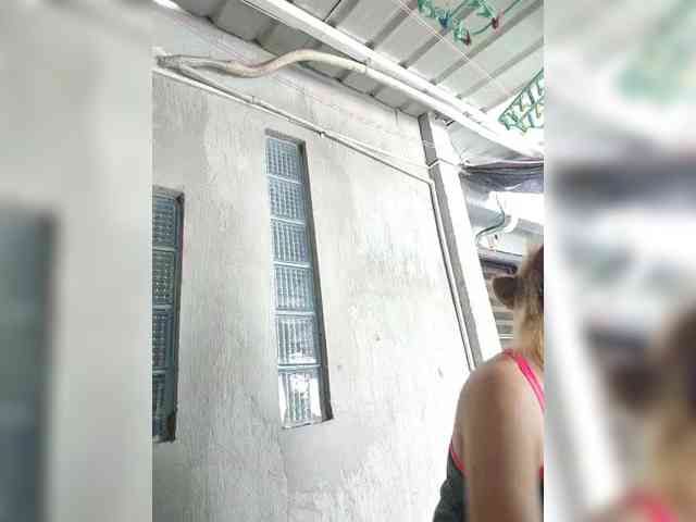 MHYCA webcam
