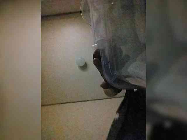 MHYCA webcam