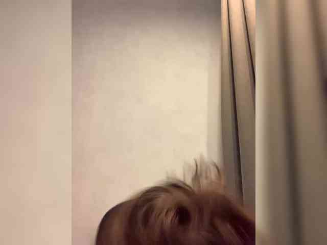meowwwmeow webcam