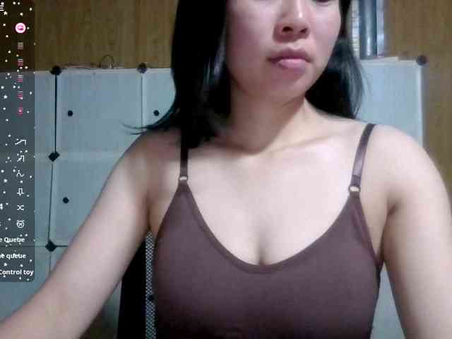 Meo2000 Meo2000