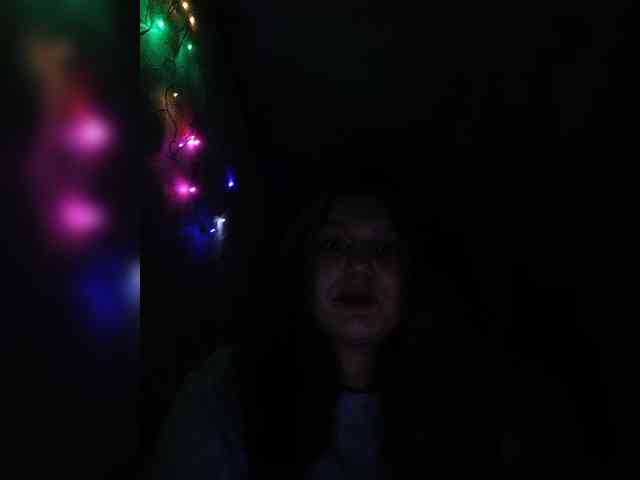 Felix-mur webcam