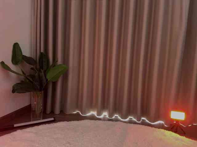 Crystalnova webcam