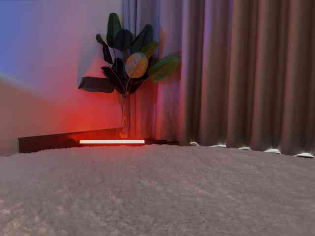 Crystalnova webcam