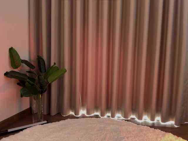 Crystalnova webcam