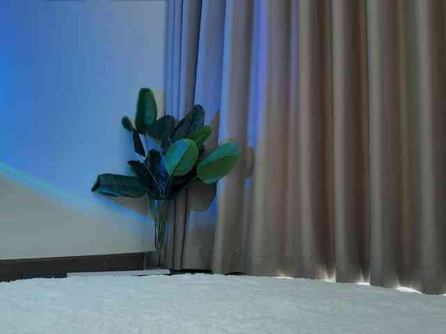 Crystalnova Sex Cam Show