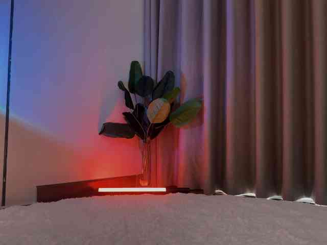 Crystalnova webcam