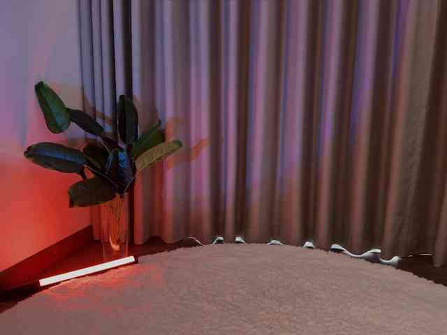 Crystalnova webcam