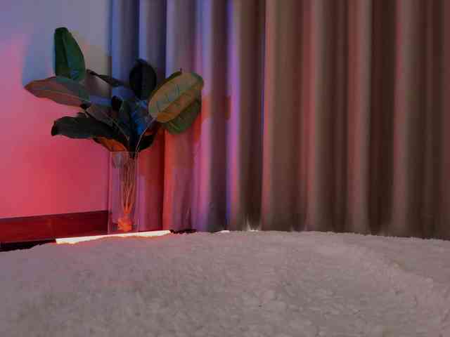 Crystalnova webcam