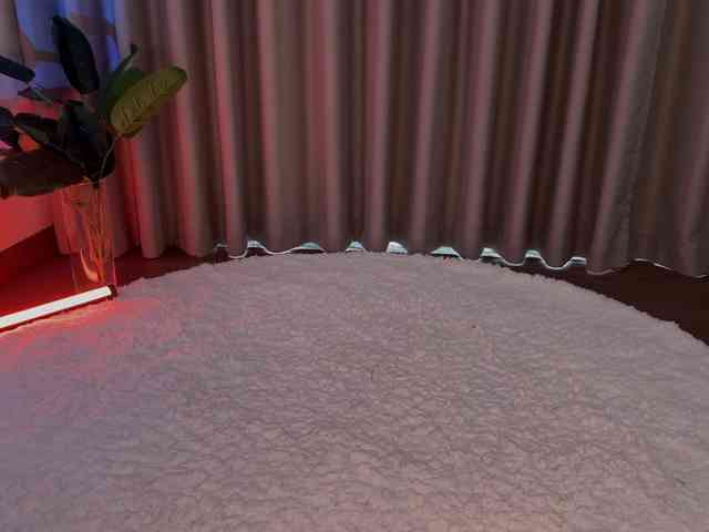 Crystalnova webcam