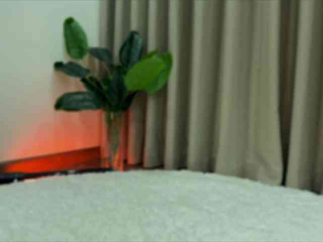 Crystalnova webcam