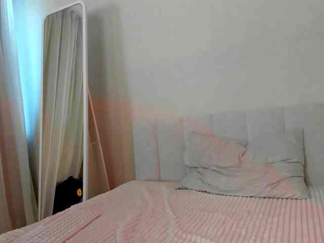 Black-Dollar webcam