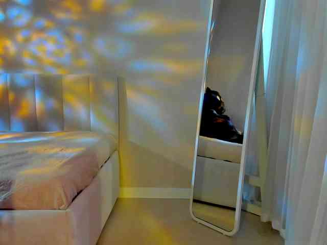 Black-Dollar webcam