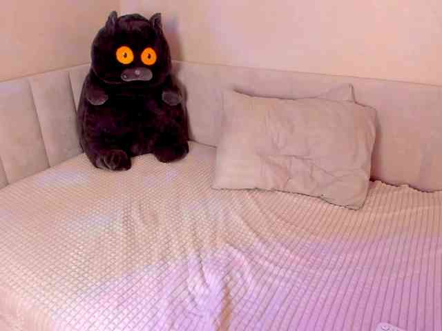 Black-Dollar webcam