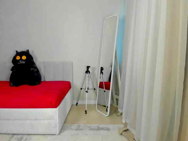 Black-Dollar webcam