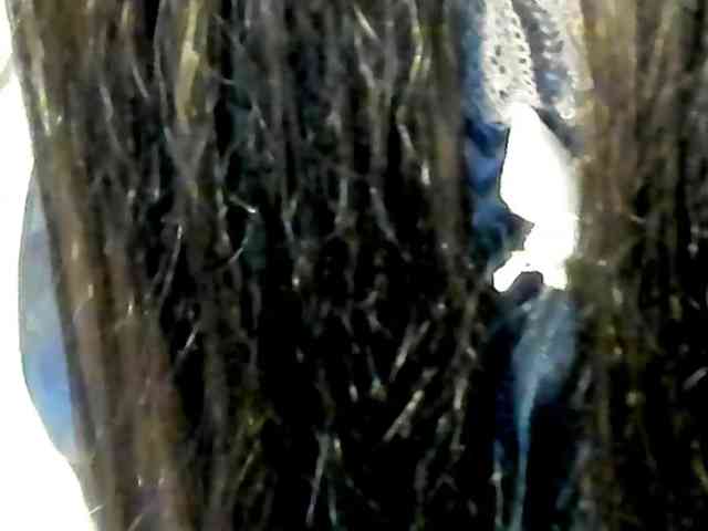 Black-Dollar webcam