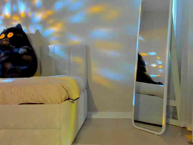 Black-Dollar webcam
