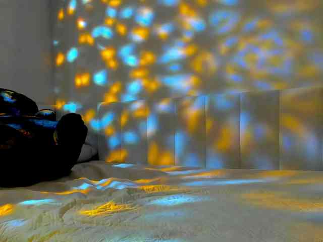 Black-Dollar webcam