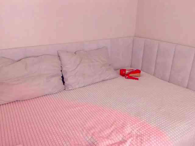 Black-Dollar webcam