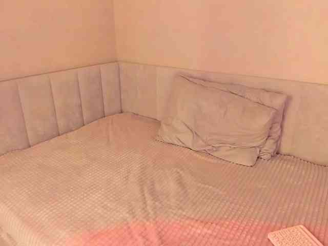 Black-Dollar webcam