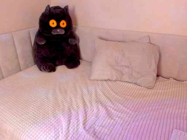 Black-Dollar webcam