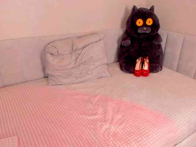 Black-Dollar webcam
